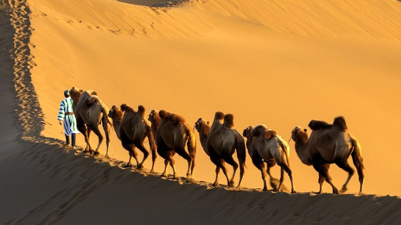 Gurun Sahara Dulu Pernah Hijau, Peneliti Ungkap Kapan dan Penyebabnya