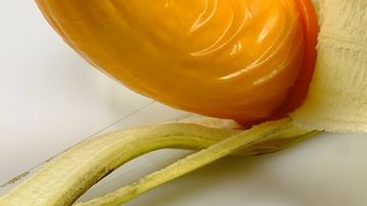 Cara Atasi Impotensi dengan Cabai, Bisakah?