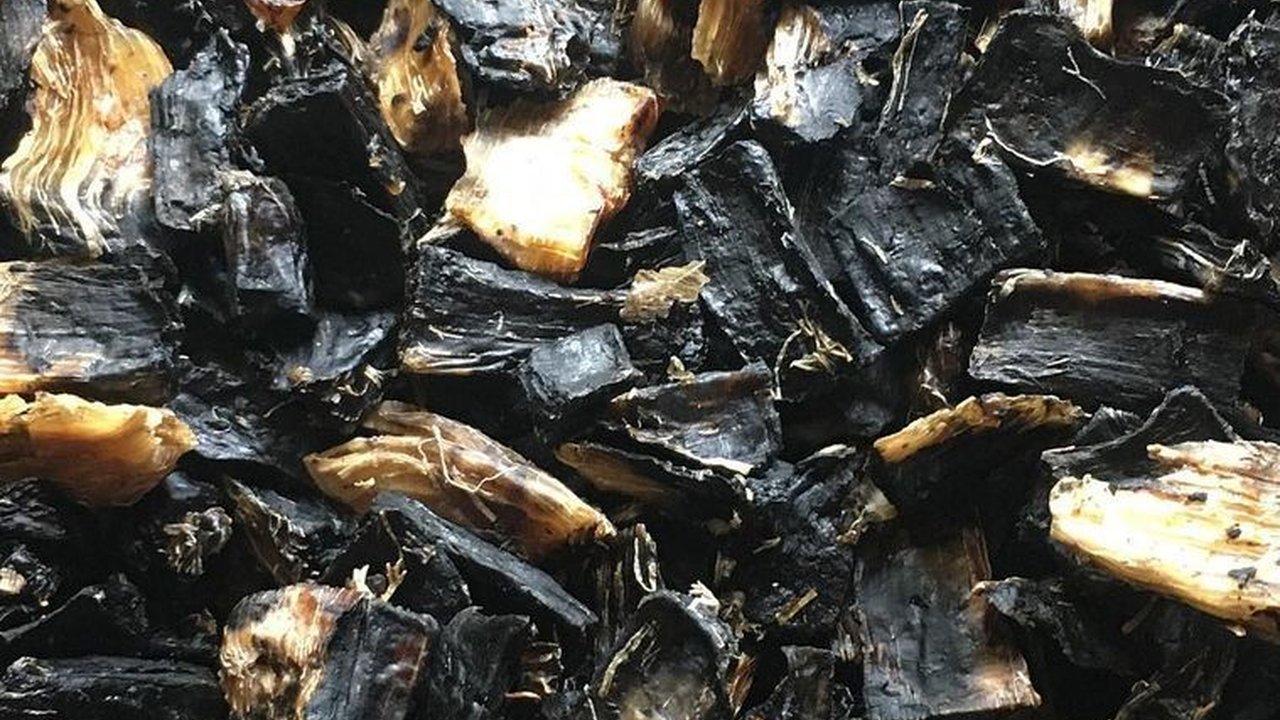 Laris di Pasar Eropa, Begini Kisah Mantan TKI asal Ponorogo Tekuni Bisnis Gatot dan Tiwul