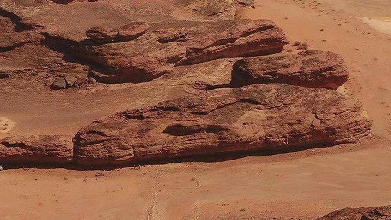 Ribuan Tulang Hewan dan Manusia Berusia 7.000 Tahun Ditemukan di Arab Saudi, Ternyata untuk Ritual