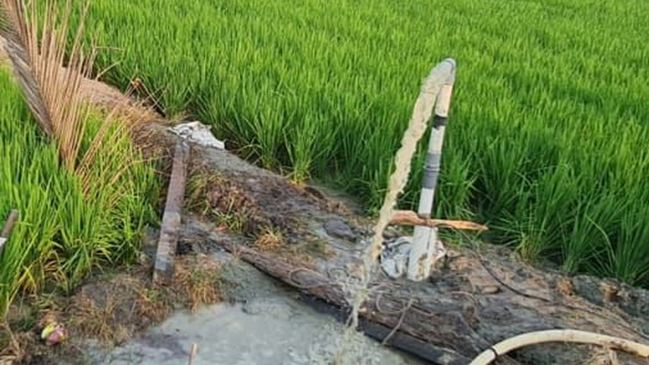 Selamatkan 5.500 Ha Sawah, Kementan Bantu Lampung Selatan 20 Unit Pompa Air Submersible.