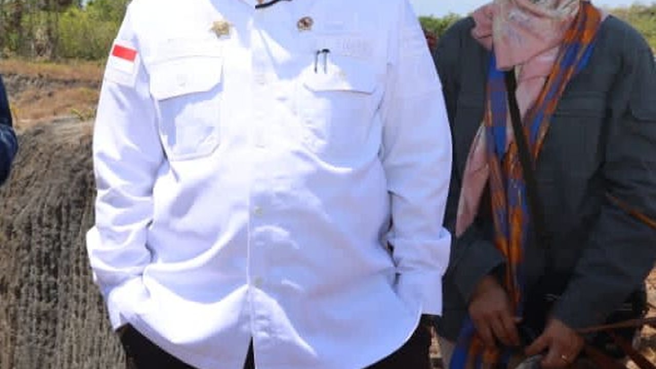 Tingkat Kerawanan Pangan Tinggi, Wamentan Sebut Sektor Pertanian di Wakatobi Perlu Dikawal