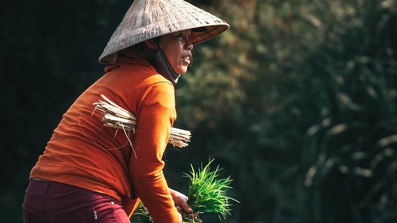 Ilmuwan Ungkap Temuan Awal Manusia Mulai Bercocok Tanam