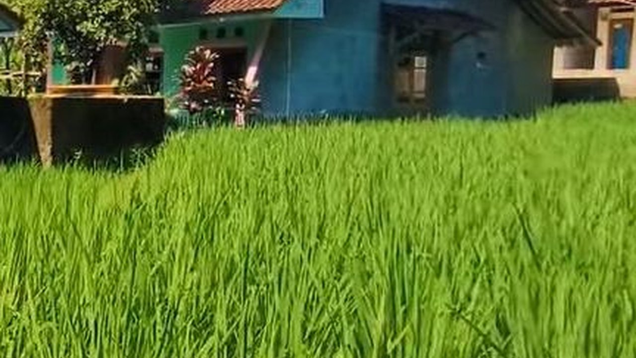 Kampung di Sumedang Ini Unik, Masih Jaga Tradisi Zaman Jepang di Tiap Rumahnya