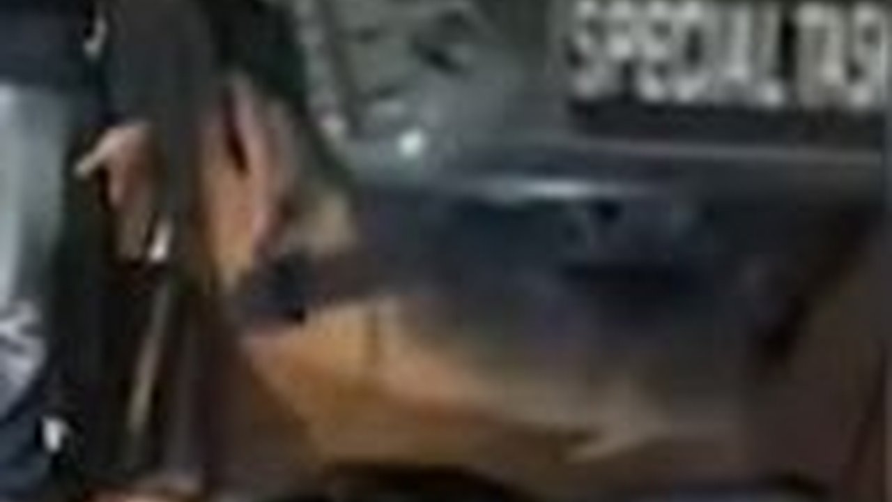 Baku Tembak dengan KKB, Satu Anggota Brimob Briptu Agung Gugur