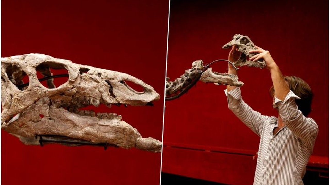 FOTO: Penampakan Kerangka Dinosaurus Berusia 150 Juta Tahun yang Dilelang Rp19 Miliar di Paris