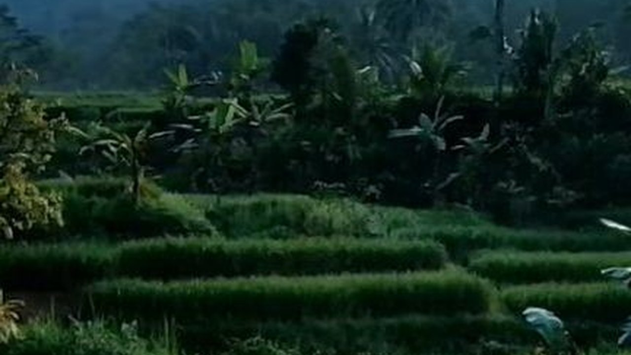 Sungainya Jernih, Intip Pesona Kampung Batu Malang di Ciamis yang Bikin Betah