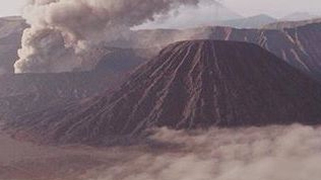 Kebakaran Bromo dan Pengelolaan Taman Nasional di Indonesia