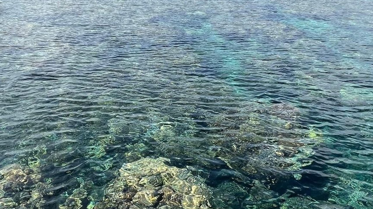 Wisata Karimun Jawa, Pulau Tersembunyi, dan Musim Terbaik Mengunjunginya