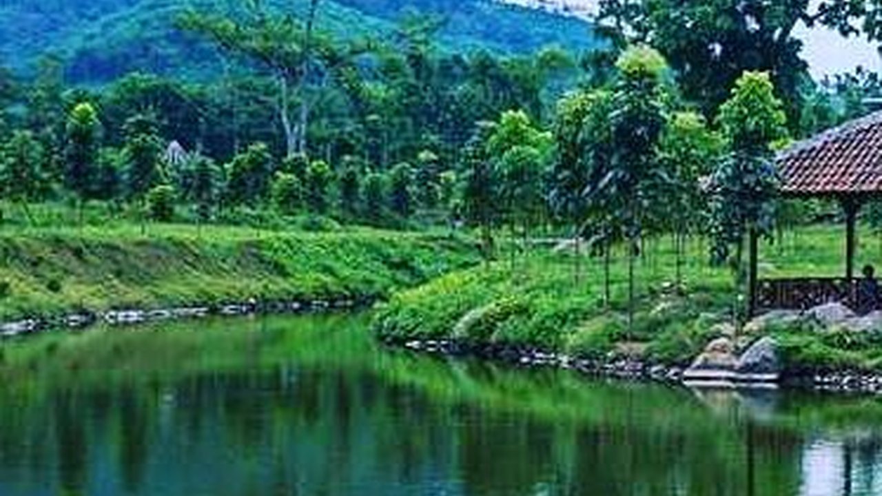 Pesona Waduk Sidodadi Glenmore Banyuwangi, Suasana Sejuk Bikin Betah Pengunjung