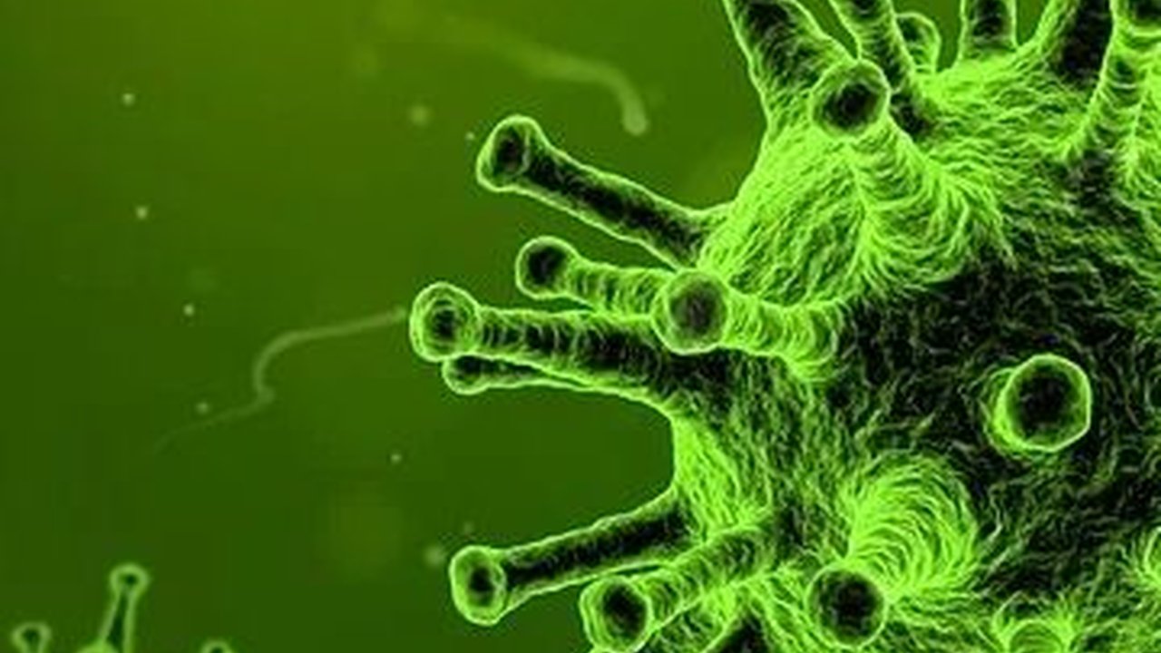 Cara Penularan Virus Nipah antar Manusia, Ketahui Ciri-ciri Orang yang Terinfeksi