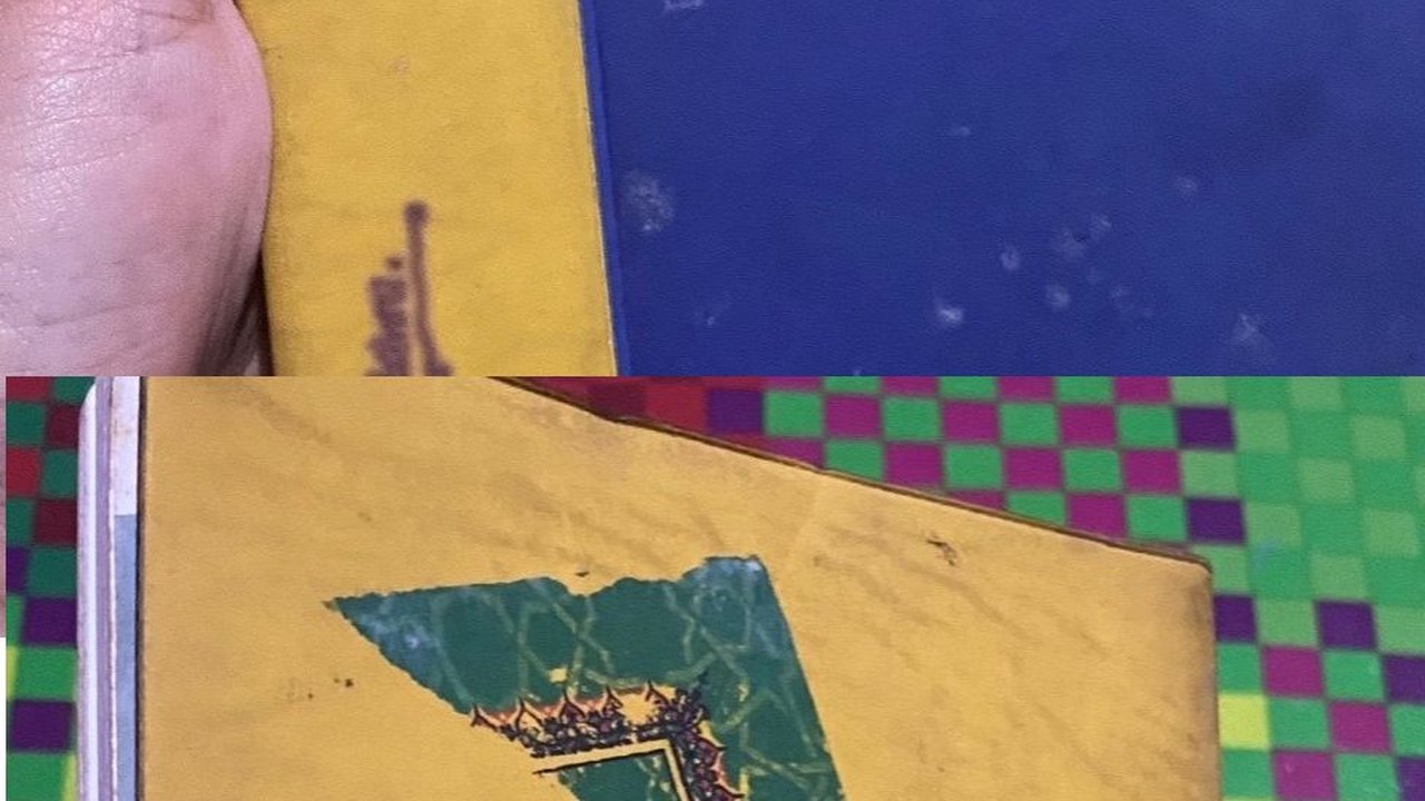 Viral Potret Buku Harian Seorang Ibu Berisi Tumbuh Kembang Anaknya, Ditulis Sejak 1999
