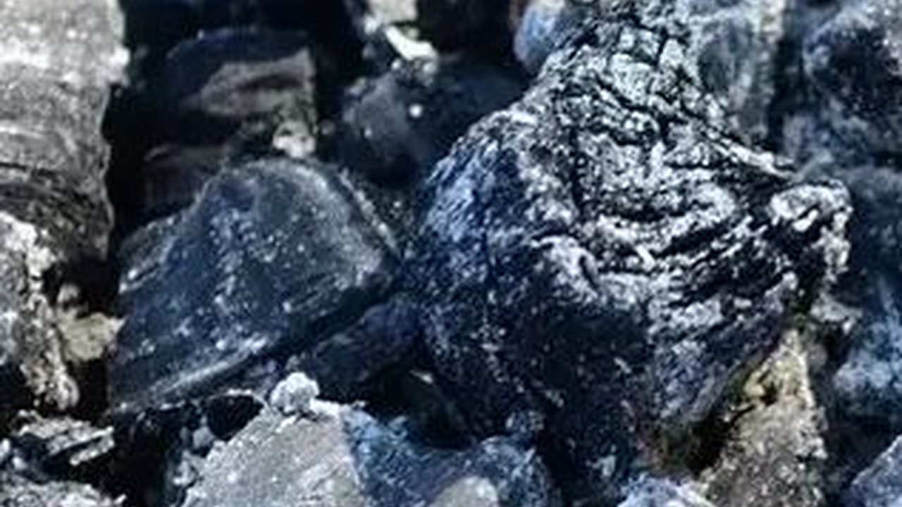 Batu Bara Rendah Kalori Bisa Bermanfaat untuk Pertanian, Ini Hasil Penelitian UGM