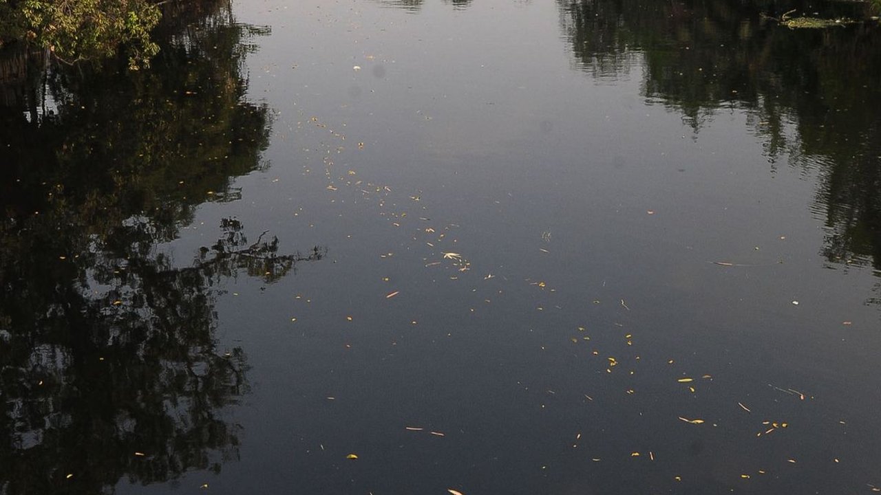 FOTO: Penampakan Kali Bekasi Tercemar Limbah, Warnanya Berubah Hitam Pekat