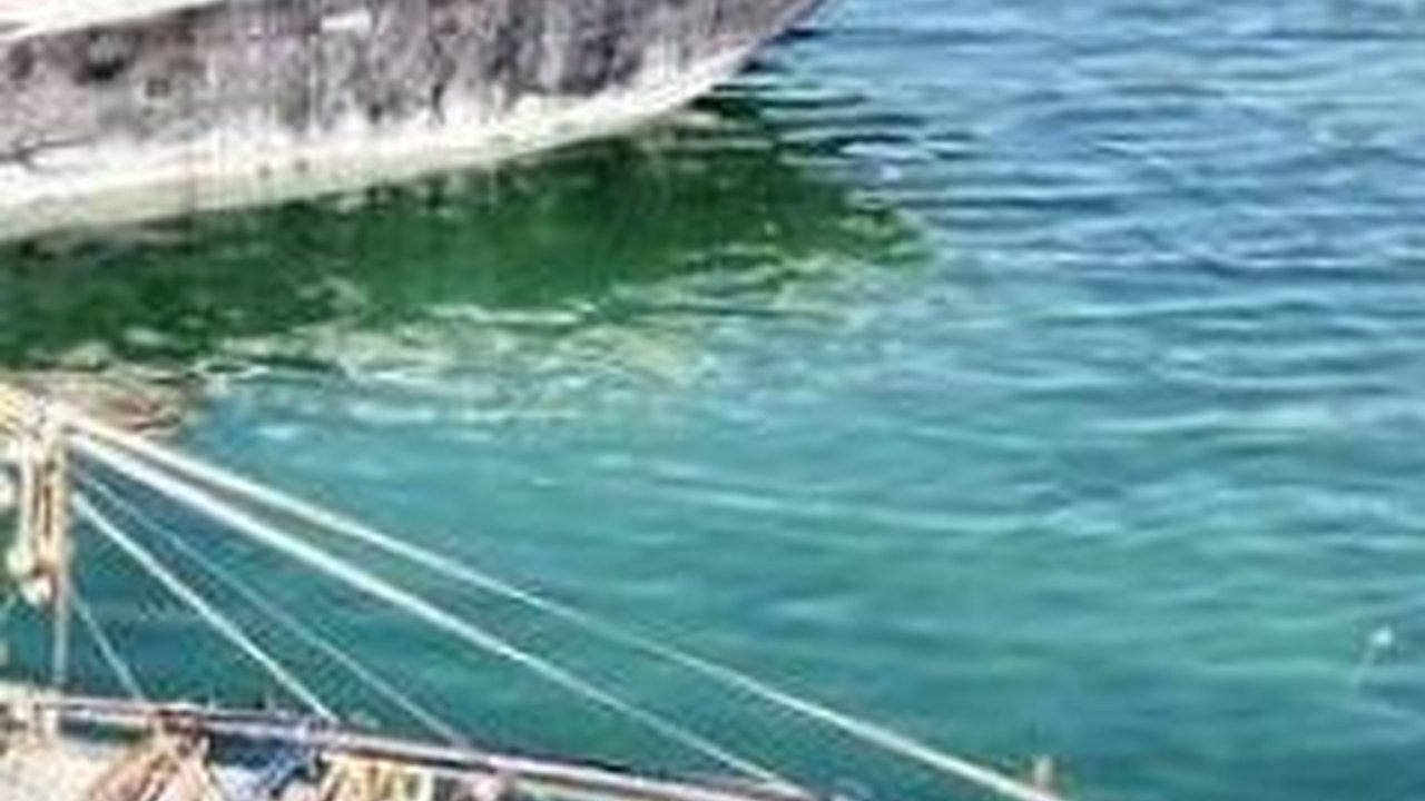 Arkeolog Temukan Sampan Kuno Berusia 2.500 Tahun dengan Kondisi Nyaris Utuh, Begini Bentuknya