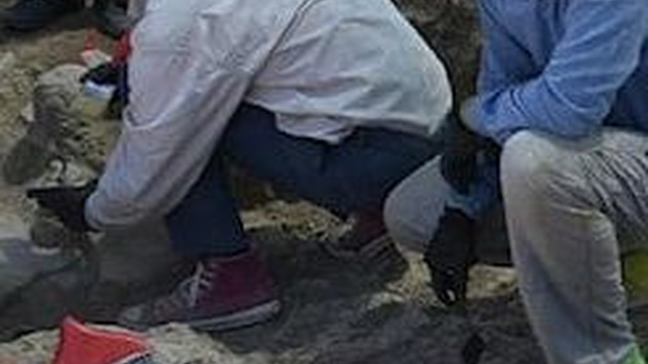 Batu Berusia 8,000 Tahun Ini Digunakan Manusia Purba untuk Berhitung, Begini Bentuknya