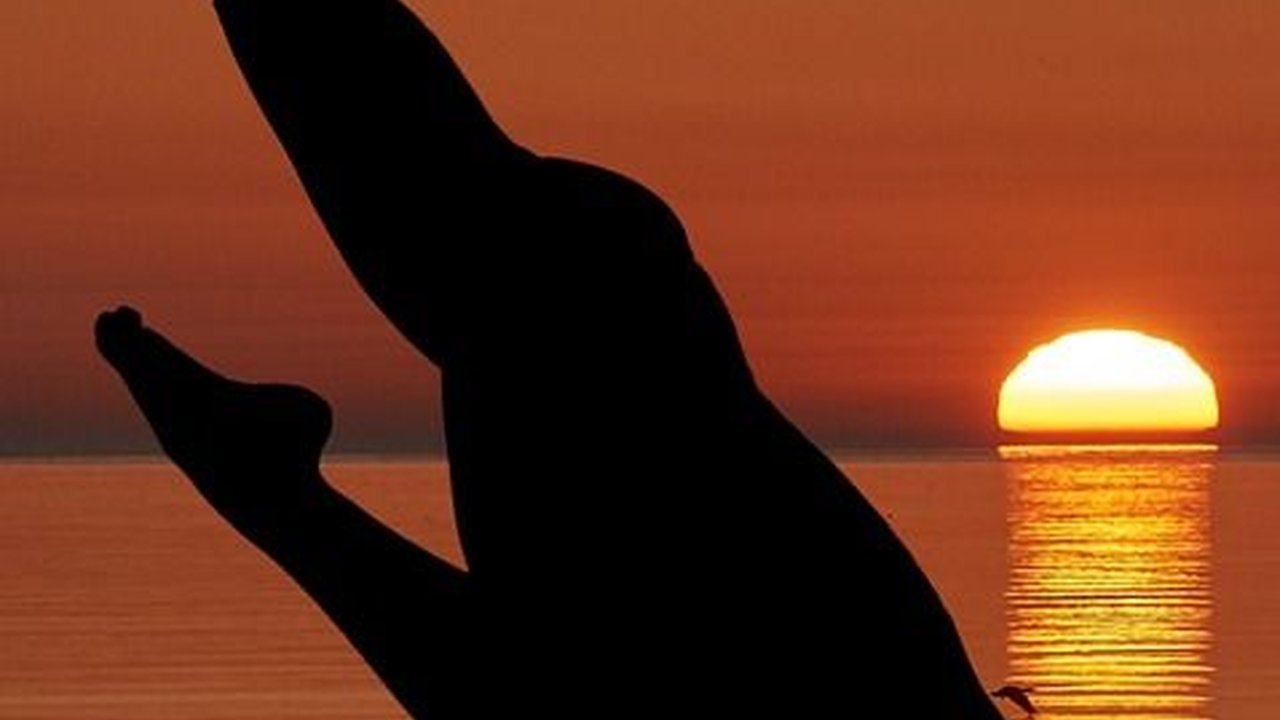 Organ Reproduksi Wanita dan Fungsinya, Ketahui Cara Menjaga Kesehatannya