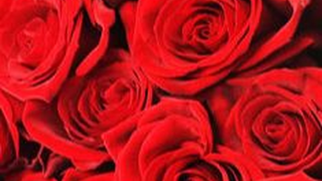 150 Nama Tumbuhan Beserta Bahasa Latinnya yang Perlu Dipahami Agar Tidak Keliru Menulis