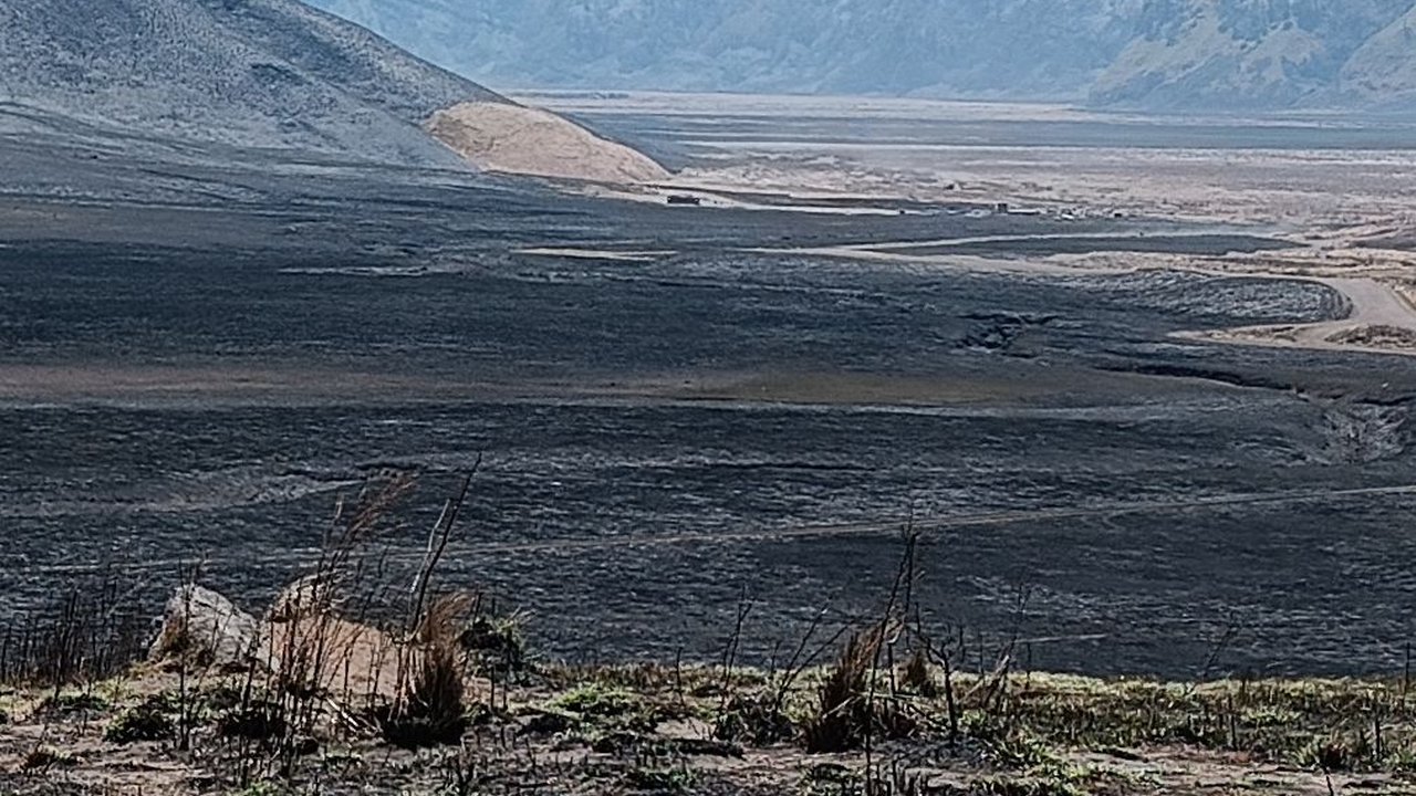 Kebakaran Bukit Teletubbies Bromo Gara-Gara Flare Foto Prewed, Kerugian Capai Rp5,4 M