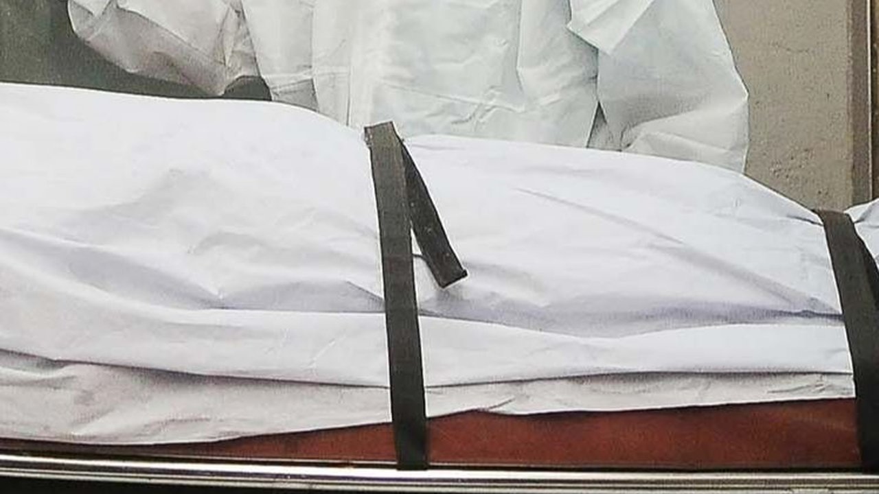 Heboh Virus Nipah, Kemenkes Ungkap Kondisi WNI di India