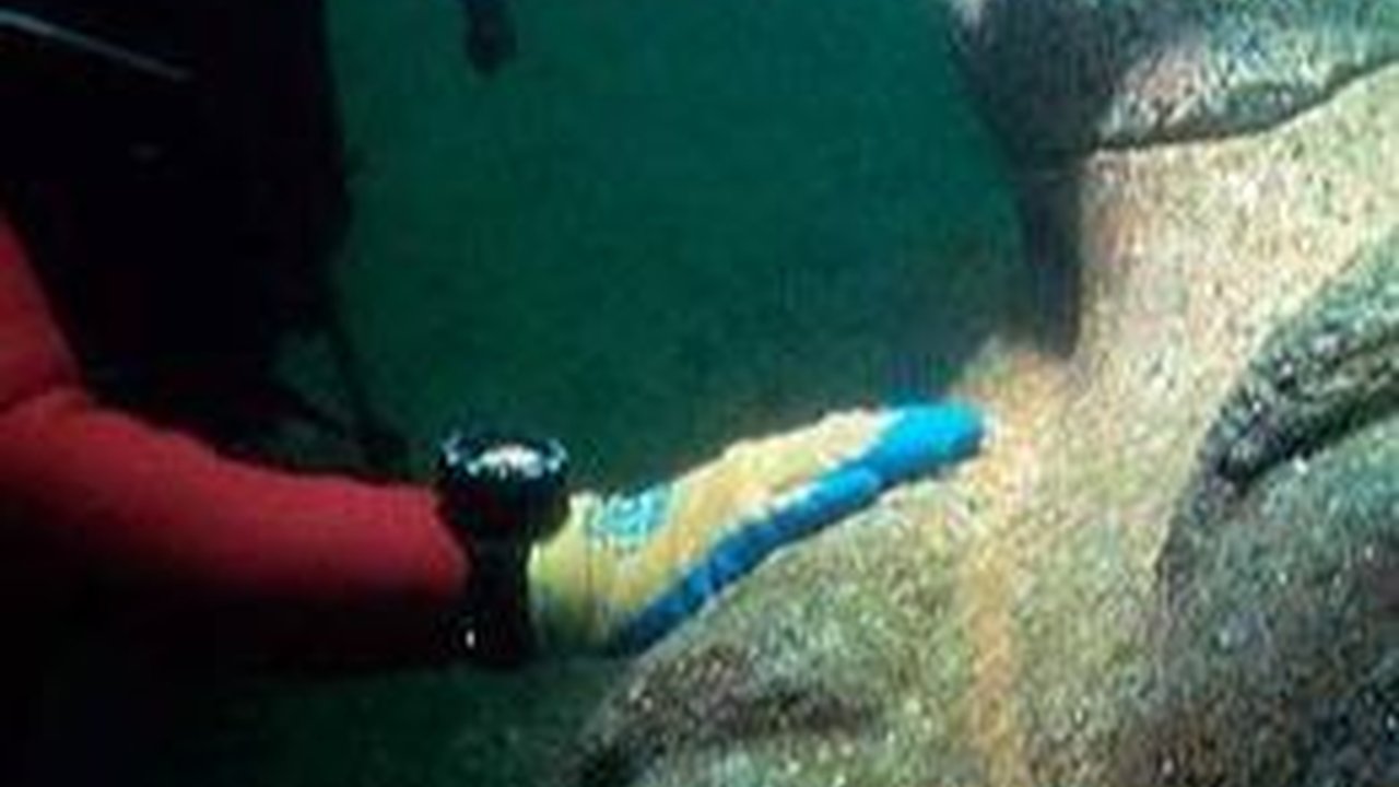Kuil Dewi Aphrodite Ditemukan di Bawah Laut Mesir, Ada Senjata Tentara Bayaran Yunani