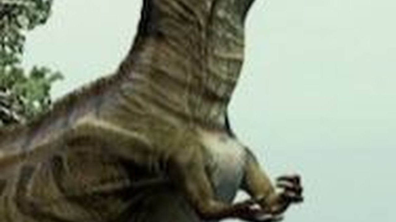 Dari Mana Minyak Bumi Berasal? Jawabannya Bukan dari Fosil Dinosaurus