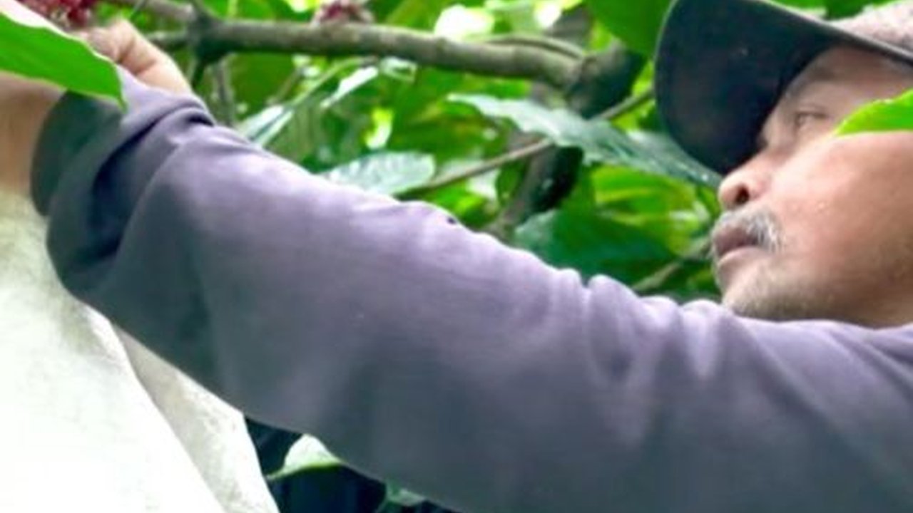 Mengenal Desa BRILIan Trawas: Giat Pelaku UMKM Terus Tumbuh Berikat Inovasi dan Kreativitas Warga