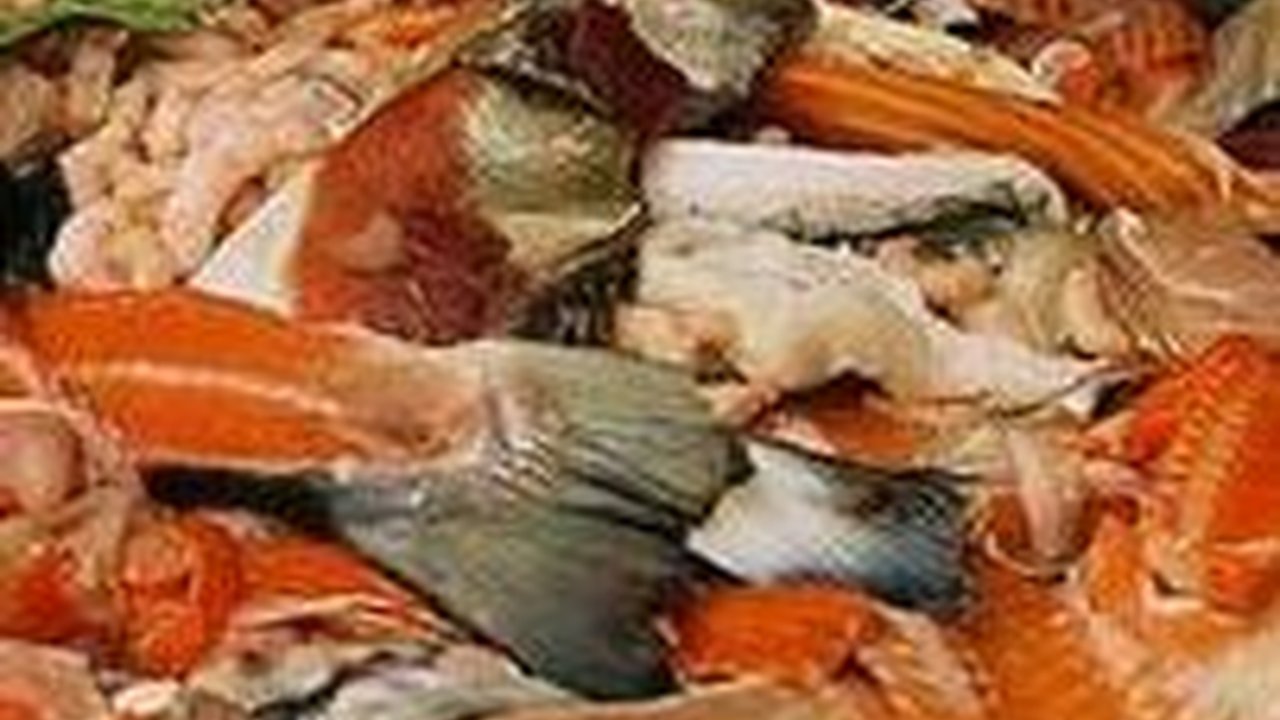 Indonesia Jadi Penyumbang Sampah Makanan Terbesar se-ASEAN, Kerugian Ekonomi Capai Rp551 T