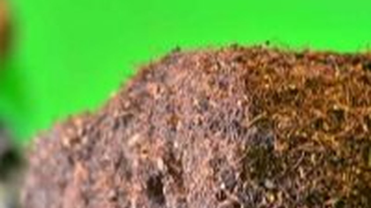 Pengusaha Minta Aturan Produk Tembakau Dikeluarkan dari RPP UU Kesehatan, Ini Alasannya