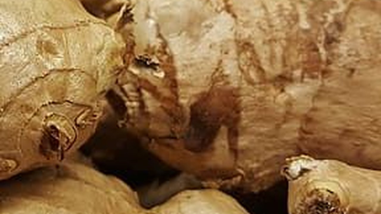 Manfaat Sereh dan Jahe bagi Kesehatan Tubuh, Bantu Pencernaan hingga Cegah Kanker