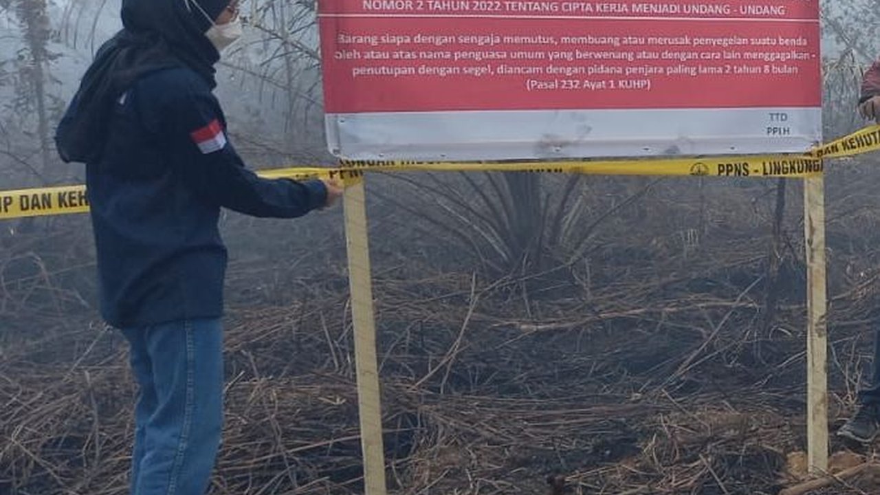 6 Lokasi Karhutla di Sumsel Disegel, 5 di Antaranya Milik Perusahaan