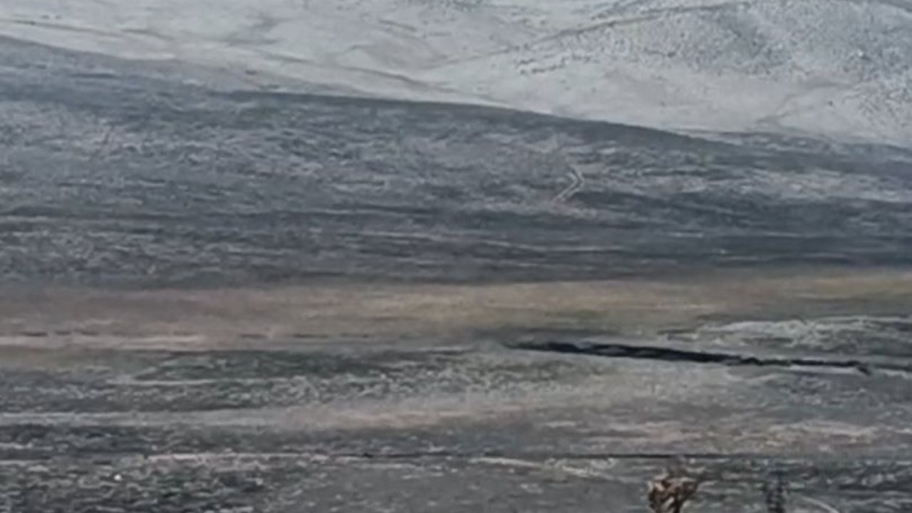 Menteri Siti Meradang Bukit Teletubbies Terbakar, Polda Jatim Ambil Alih Penyidikan