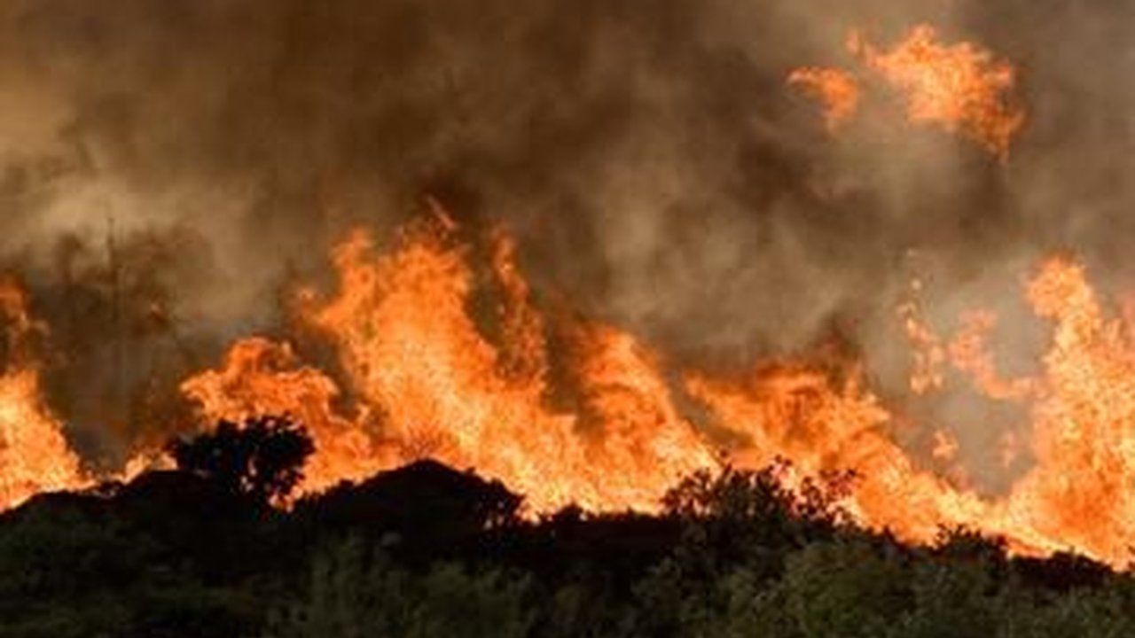 Sebabkan Kebakaran Hutan di Lereng Gunung Ijen, Pria Bondowoso Ditangkap