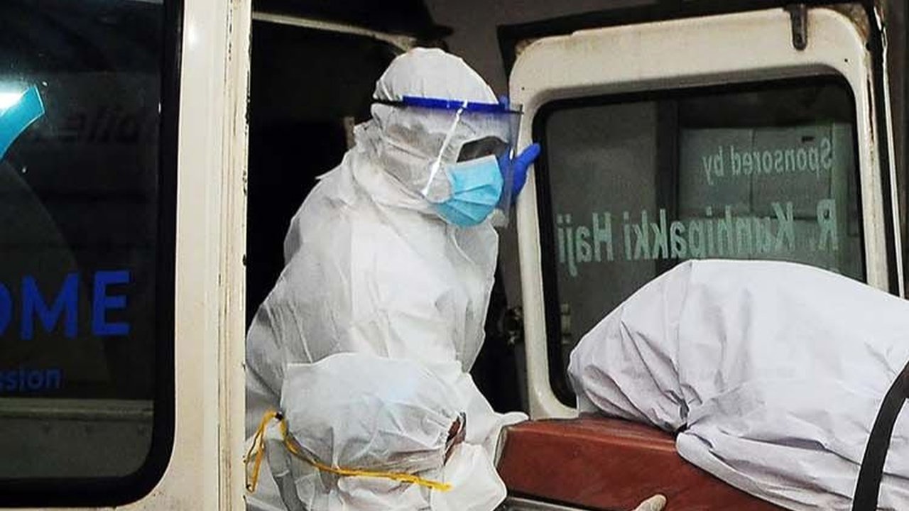 Heboh Virus Nipah, Kemenkes Petakan Wilayah Banyak Kelelawar