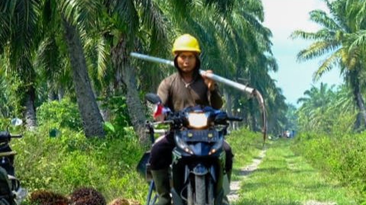 PGN: Produksi Biometana akan Dimulai di Sumatera Bagian Selatan Pada 2025