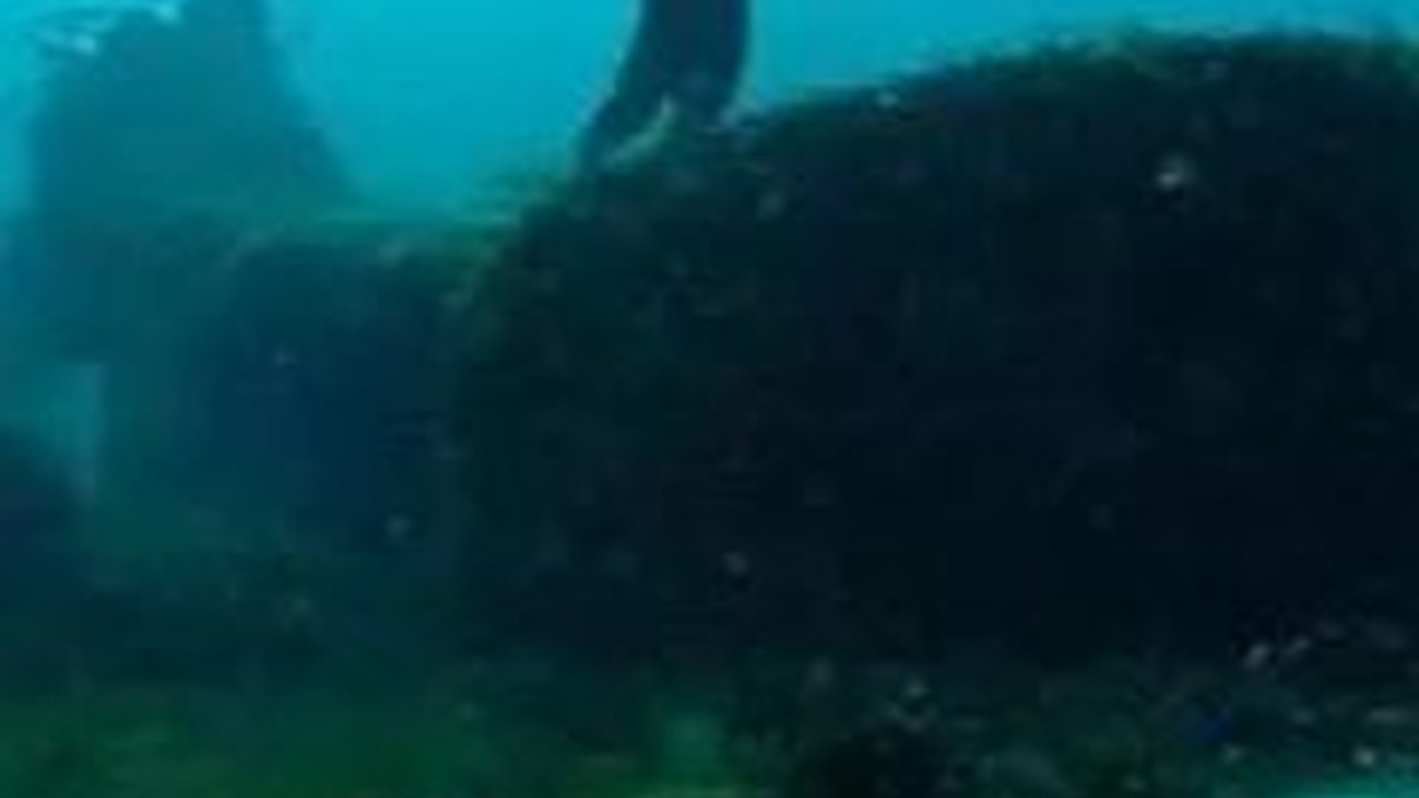 Perkakas Batu Berusia 9.000 Tahun Ditemukan di Bawah Air, Terbuat dari Batu Tertua di Amerika