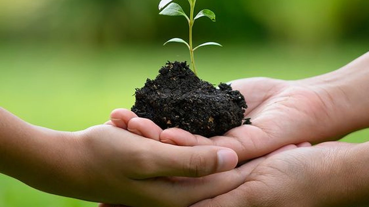 Lewat BRImo FSTVL 2023, Nasabah Bisa Ikut Tanam Pohon Setiap Buka Rekening BritAma