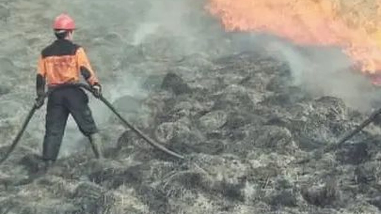 Potret Terbaru Kawasan Bromo Kebakaran, Sebagian Objek Wisata Ditutup