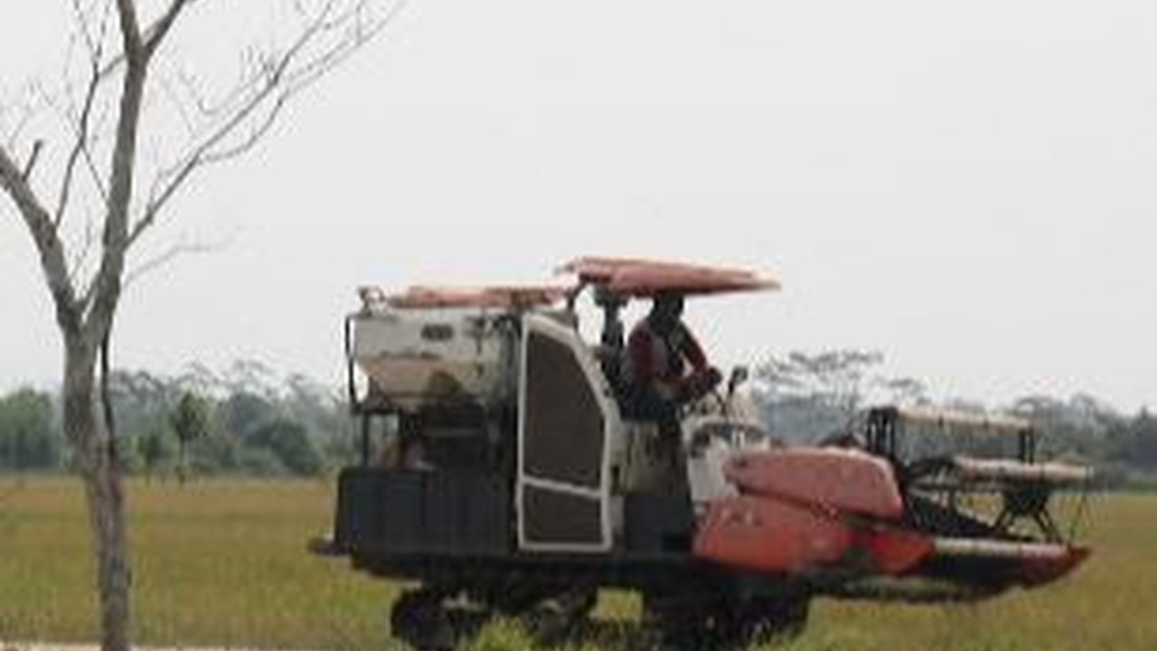 DPR Tengok Lokasi Food Estate di Kalteng, Ini Sederet Temuan dan PR untuk Pemerintah