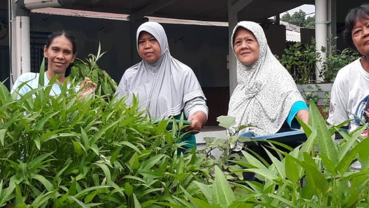 PNM Ajak Nasabah Mekaar Studi Banding Budidaya Tanaman Hortikultura