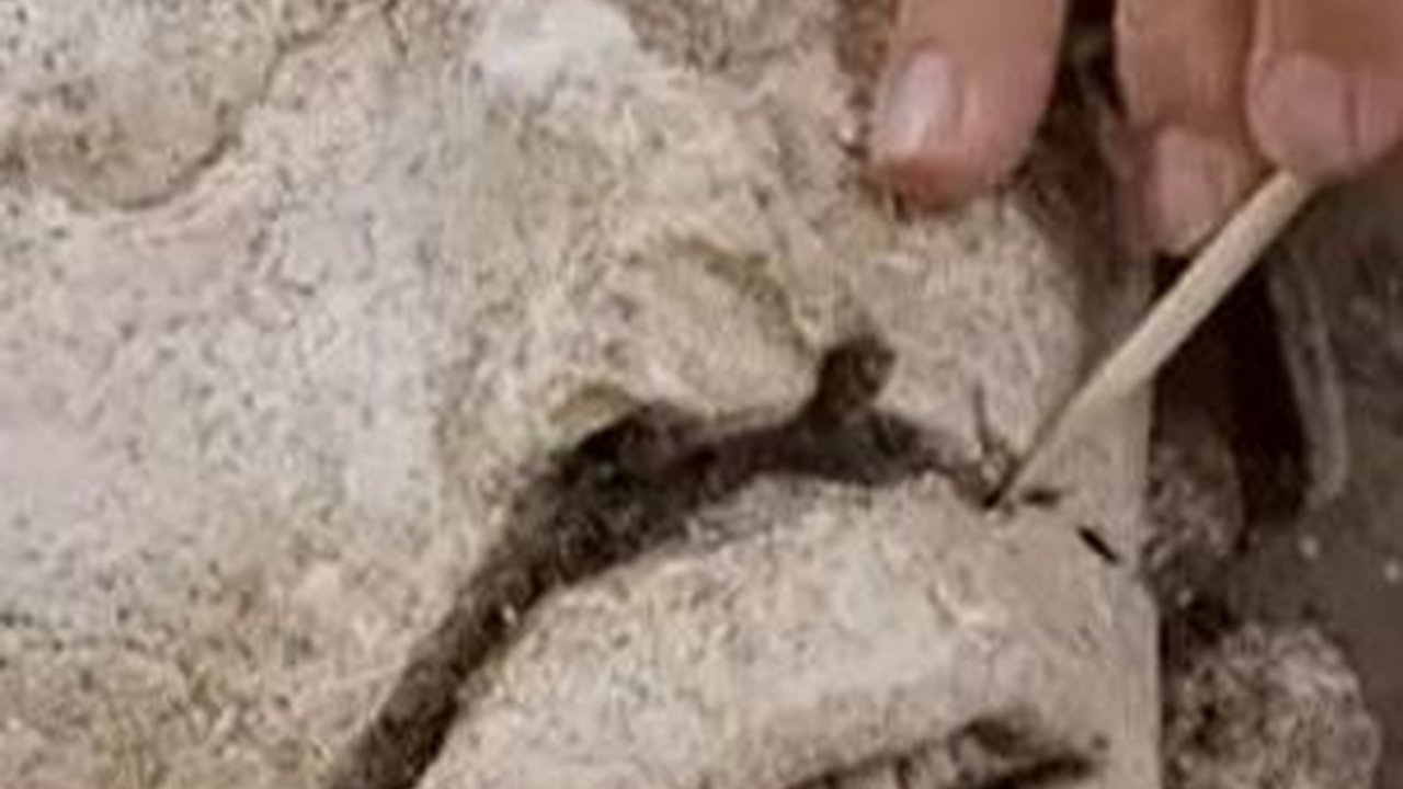 Patung Dewa Jagung Bangsa Maya Berusia 1300 Tahun Ditemukan dalam Kolam, Tersisa Hanya Kepalanya