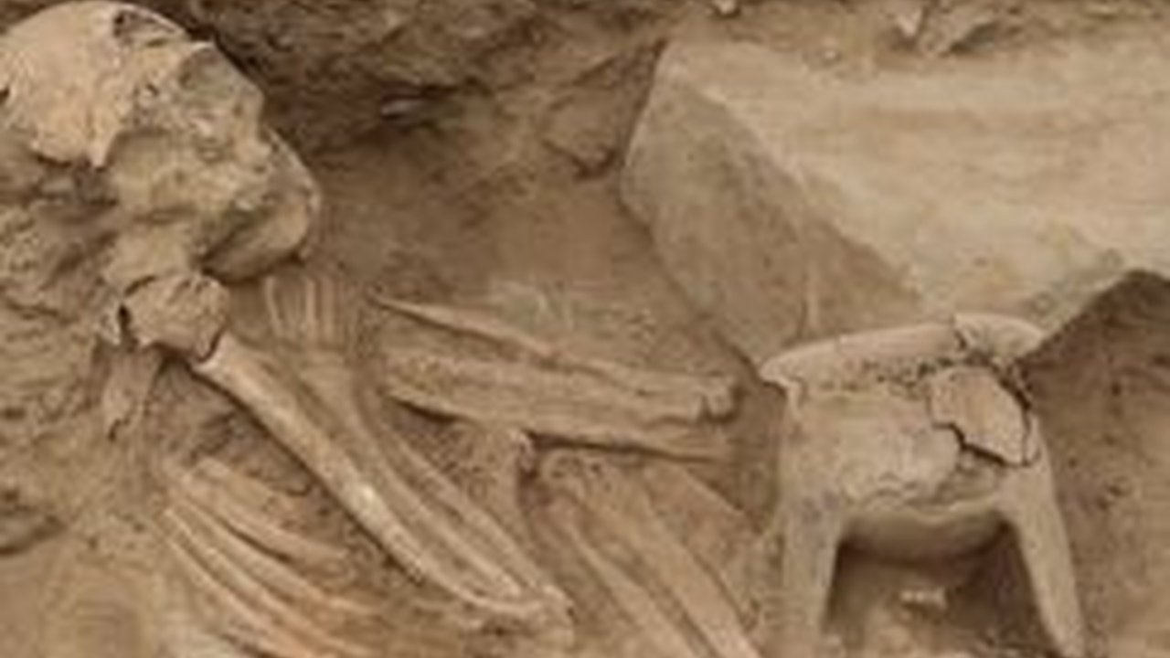 Arkeolog Temukan Makam Keramat Berusia 1000 Tahun , Banyak Tulang Manusia dan Cangkang Kerang