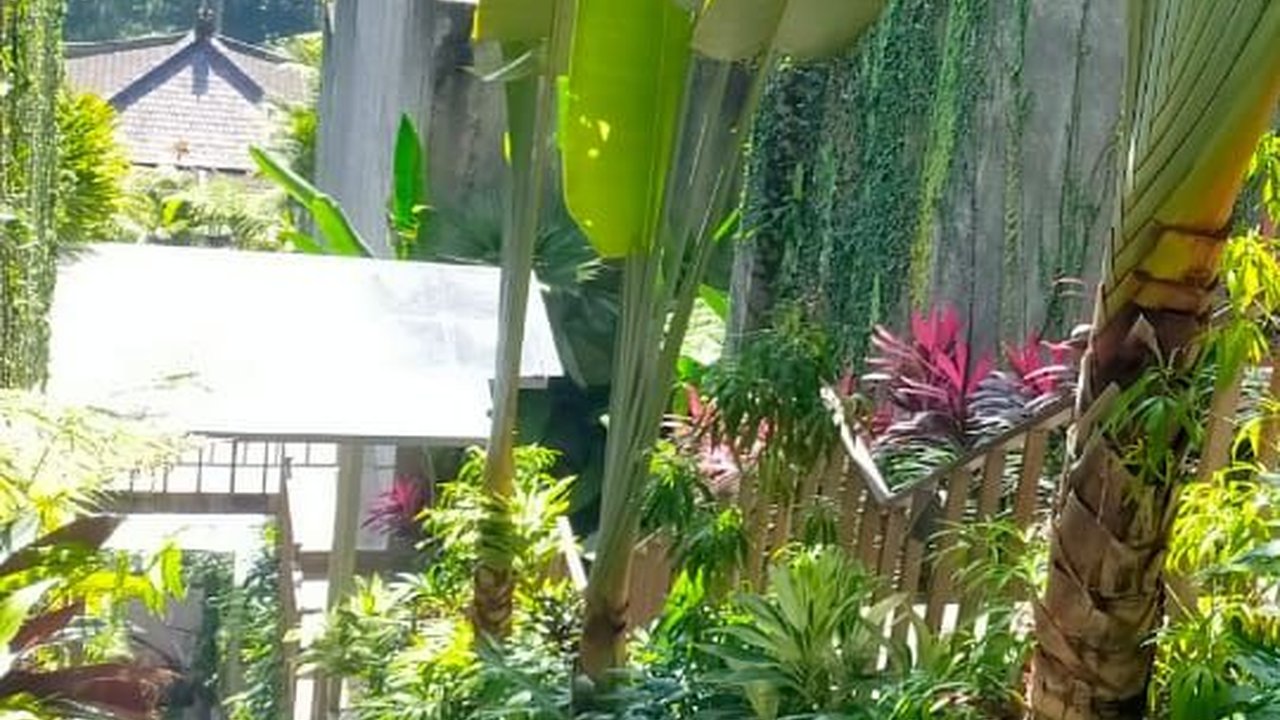 Buntut Kasus Lift Maut, Ayu Terra Resort Ubud Ditutup untuk Umum!