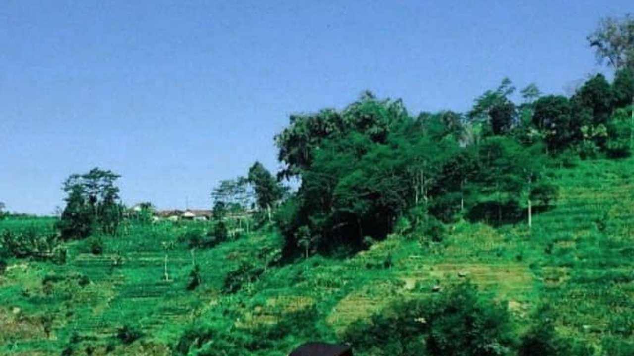 Sederet Wisata Gratis di Magetan, Suguhkan Keindahan Alam dan Cerita Sejarah Memikat