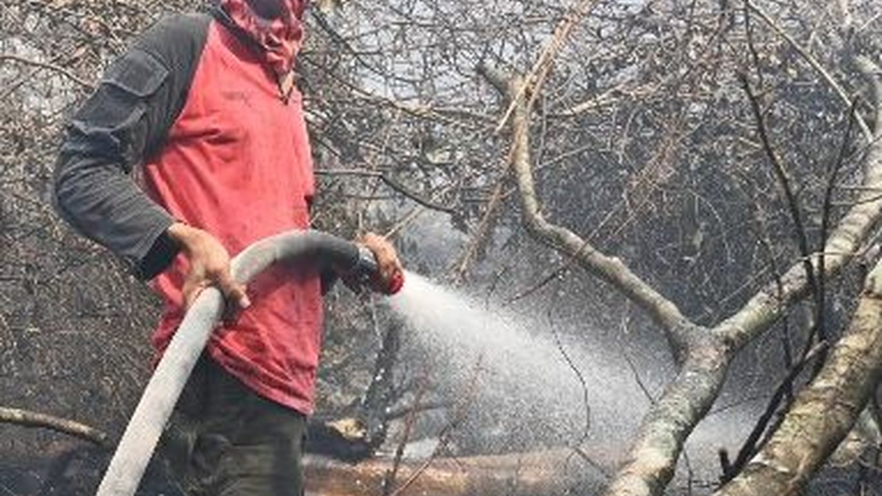 Kabut Asap Dampak Karhutla Menggila di Palembang, Penderita ISPA Naik Drastis