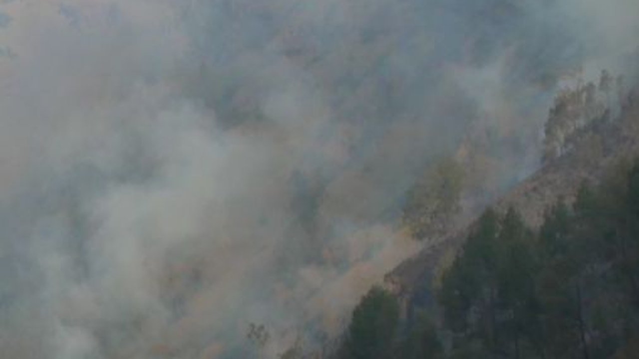 Kronologi Bukit Teletubbies Bromo Terbakar Diduga karena Flare Foto Prewedding, Berujung Pelaku Ditangkap