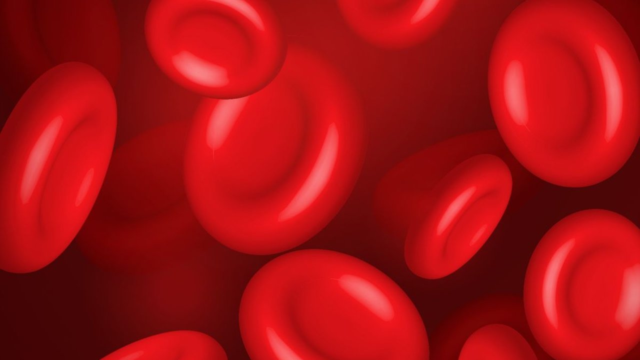 Ciri-ciri Hb Tinggi yang Perlu Diketahui, Kenali Penyebab dan Cara Menurunkannya