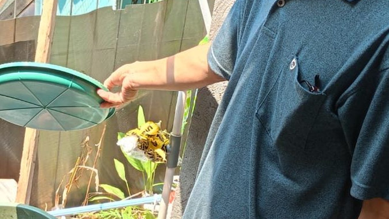 Geger Air Sumur Warga Gunungsindur Bogor Berwarna Biru Seperti BBM, Terbakar saat Disulut Api