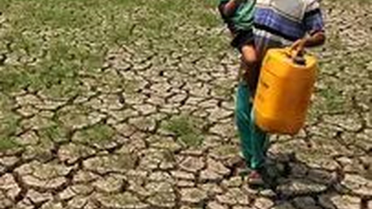 Fenomena El Nino Diperkirakan Bertahan hingga Pertengahan 2024, Ini Penjelasan Pakar