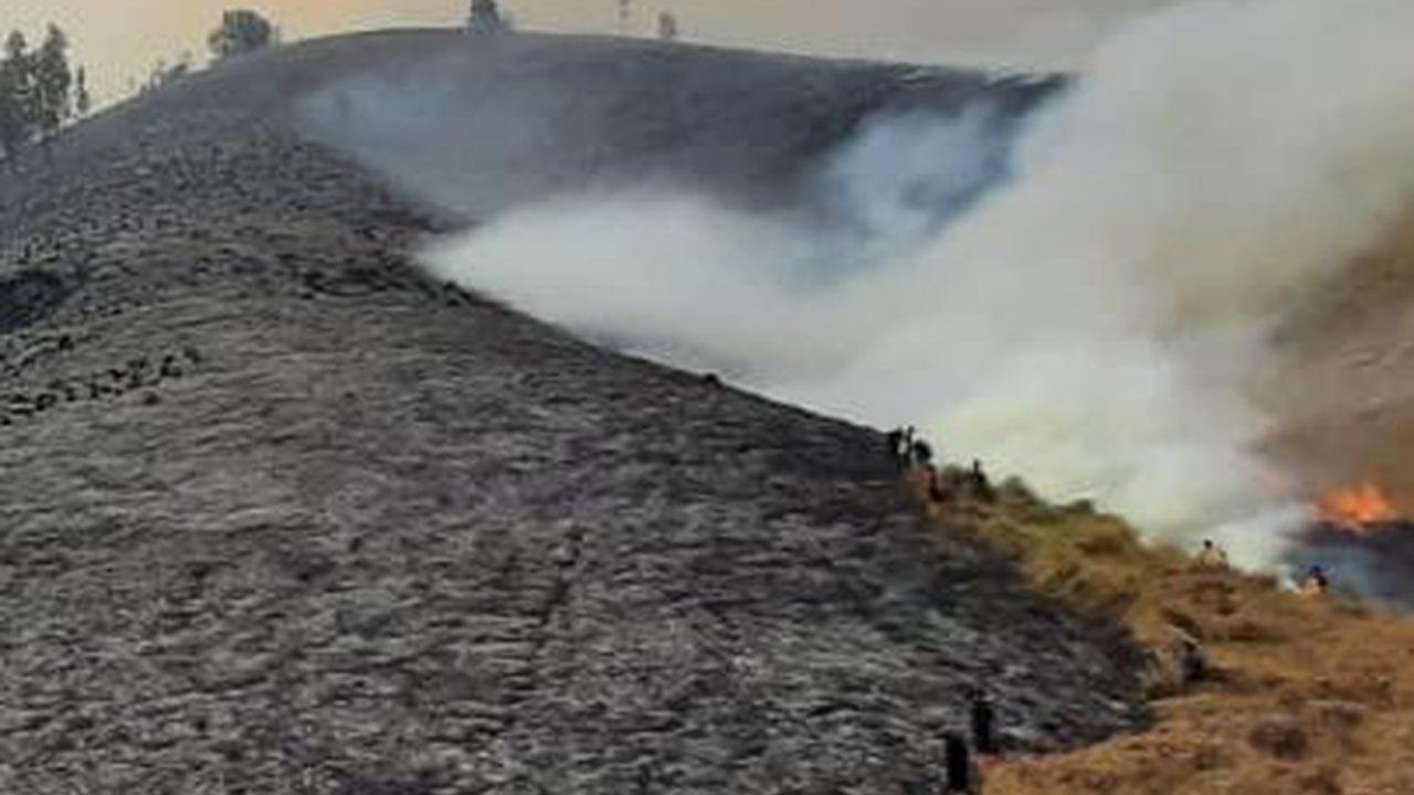 FOTO: Kondisi Terkini Bukit Teletubbies Bromo yang Terbakar Diduga Akibat Flare Prewed